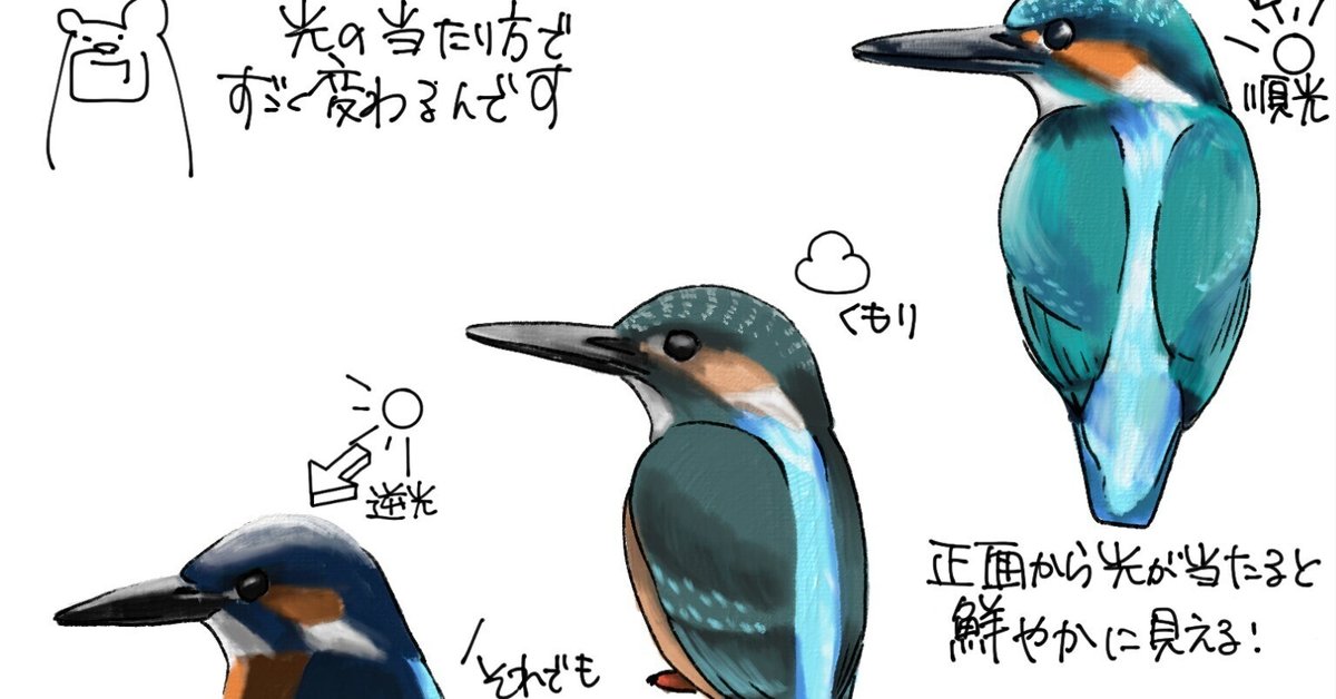 カワセミは構造色、投資はアロケーション

補足）