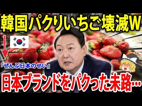 #韓国ニュース #海外の反応 #ゆっくり解説
韓国のパクりイチゴが大問題に！？
韓国が日本から散々パクったイチゴ