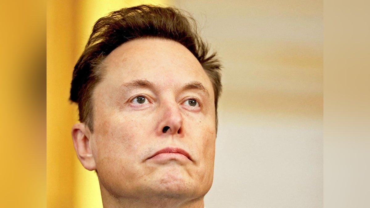 マスク氏、日本の「反移民デモ」動画に「Ｇｏｏｄ」…支持を表明
