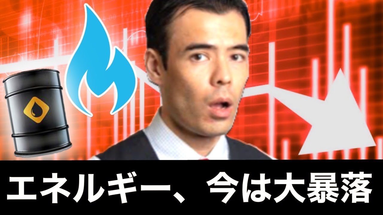 ◎ダンサマ　11/22 エネルギー価格の大暴落、インフレの影響？
※この動画は自分の勉強の為に残したメモを投稿しています。音声が出せない、時間が無いという人に役立てればと共有致します。よろしければ、いいね、コメントを頂けると幸いです。
