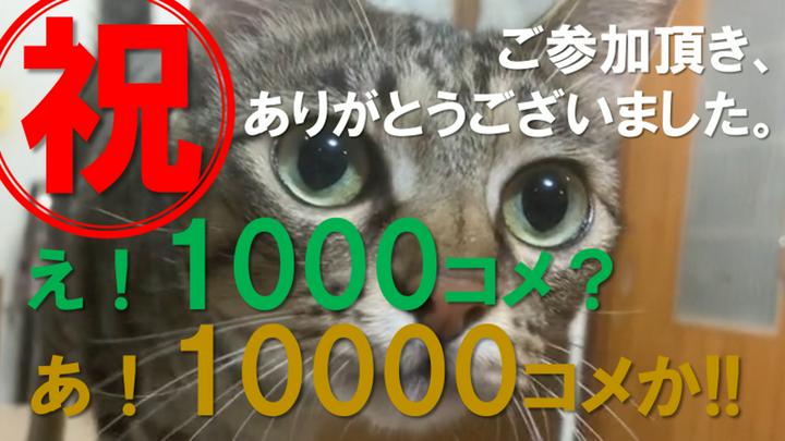 【注意】まさかの展開、もらい泣きするなんて、、、
こちらはビジターズブックとなります。
