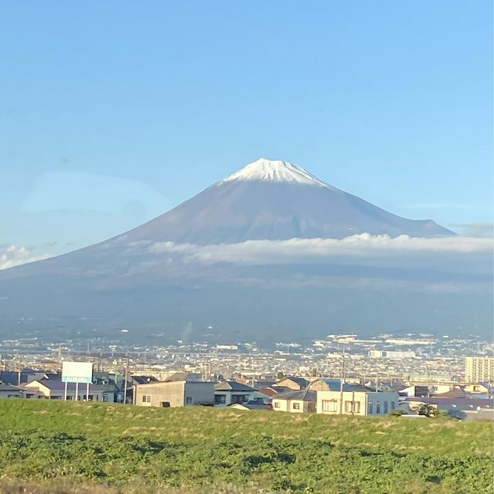 🌈🕊トリッピー（虹鳩）