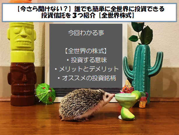 【今さら聞けない？】誰でも簡単に全世界に投資できる投資信託を３つ紹介【全世界株式】

https://hanimiti.com/index-zensekaikabusiki/