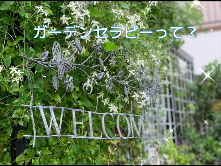 【GardenTherapy　ガーデンセラピー#1~#12 まとめ】　
Garden Therapyは、（株）タカショー（７５９０）の高岡社長がすすめておられます。
株主総会や展示会で、高岡社長に何度かお会いして何度かお話させていただきまし