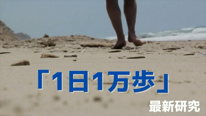 【”1日1万歩”は健康にいいか？】
みなさん、こんばんは☺️
昨日は1月の記事のリスト集を投稿しましたが、いやはや1ヶ月経つのが本当に早いですね😊